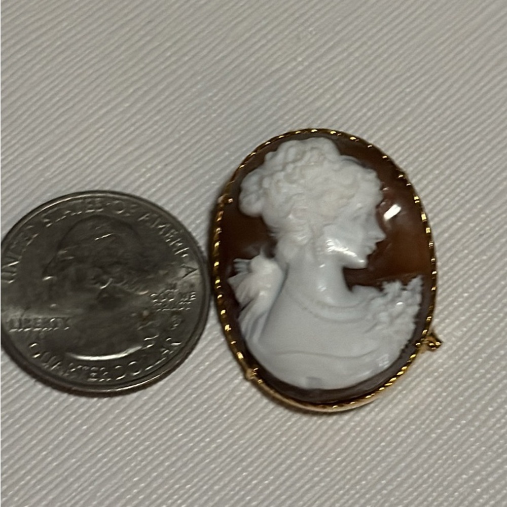 Vintage-Style Brown and White Cameo Brooch — Unbranded